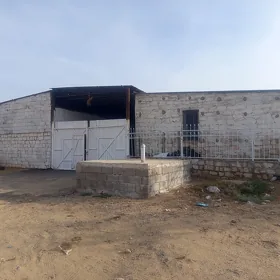 ayraport daça