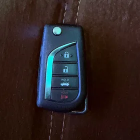 Carolla acar