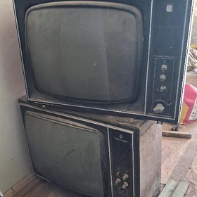 Telewizor