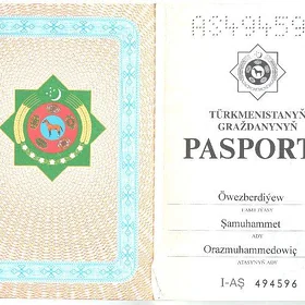 Passport yitdi
