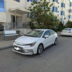 Toyota Corolla 2023