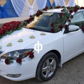 Toyota Camry 2003