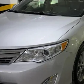 Palta Camry fara