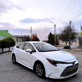 Toyota Corolla 2023