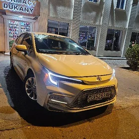 Toyota Corolla 2024
