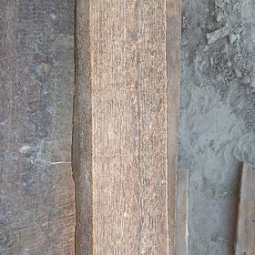 strapila