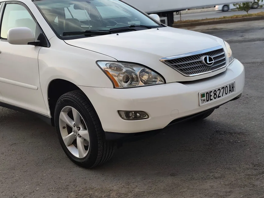 Lexus RX 330 2004 - 1