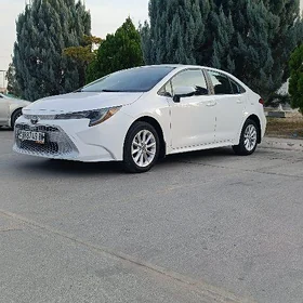 Toyota Corolla 2022