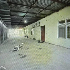 Чоганлы
