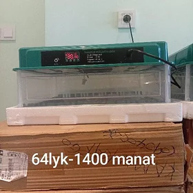 Inkubator