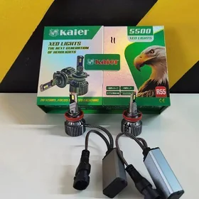 led kayer