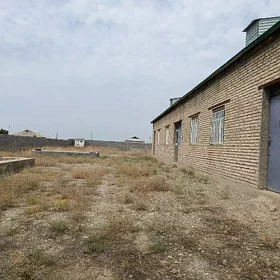satlyk jaý