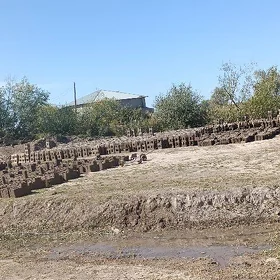 toyun cig kerpic