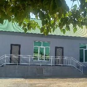 bagyr mirewe jay