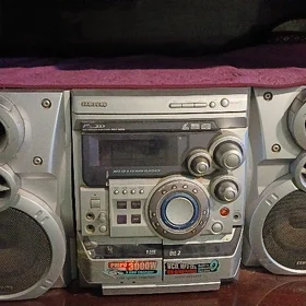 Muzikan sentir