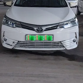 Corolla haliji morda