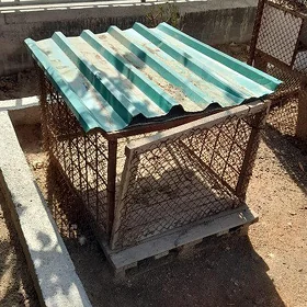 juyje ketek