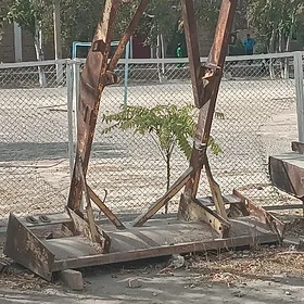 Greydiy