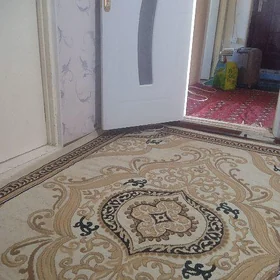 Jay Şapak
