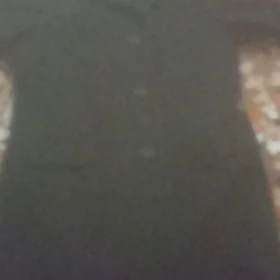 Palto