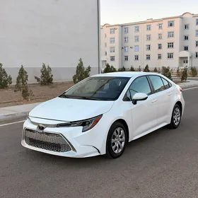 Toyota Corolla 2023