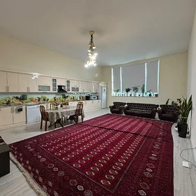15 Tapgyr Aşgabat Mool Elitka
