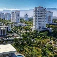 Arenda🤍Nebitgaz elitka 3 kom