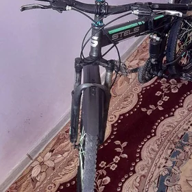 veleik