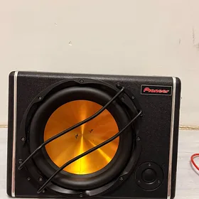 pioneer bocka