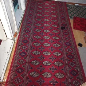 daroşga