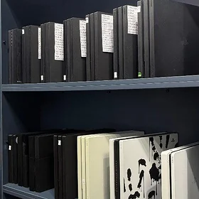 Playstation 4/5 Amatly baha