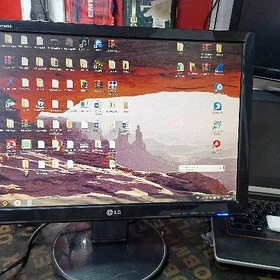 monitor lg 19