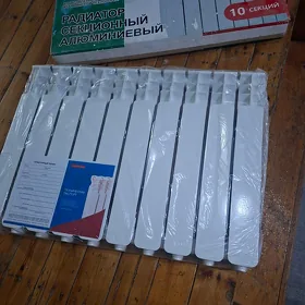 Ataplenya
