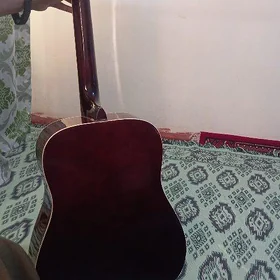 gitara lute