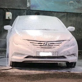 Hyundai Sonata 2011