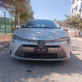 Toyota Corolla 2024