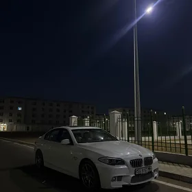 BMW F10 2010