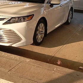 Toyota Camry 2019