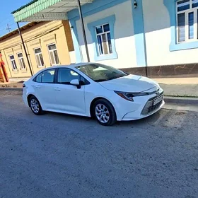 Toyota Corolla 2024