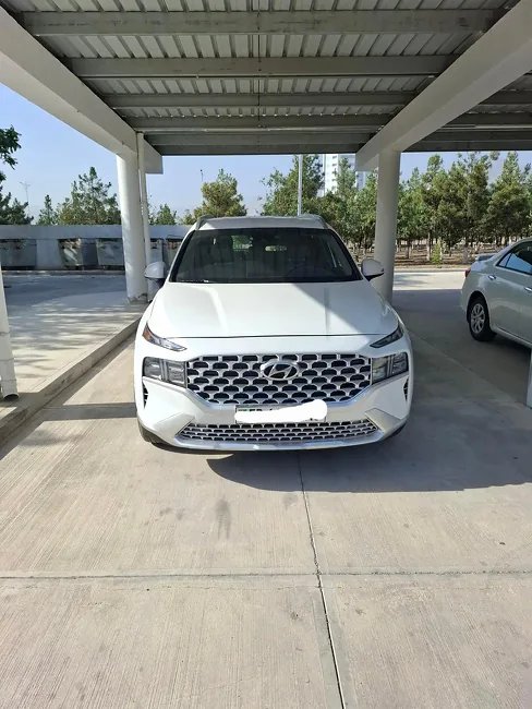 Hyundai Santa Fe 2023 - 1