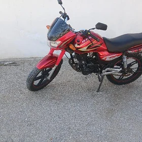 Fekon FK150-8G 2013