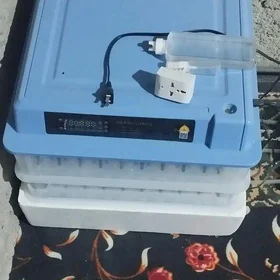 enkawator