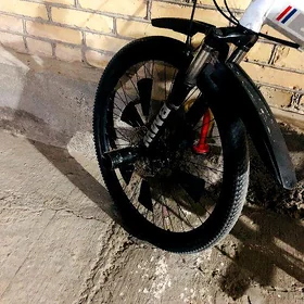 Bmw spartivny