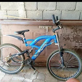 tigir 26 olimpiýa
