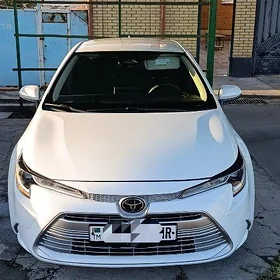 Toyota Corolla 2023