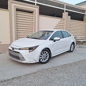 Toyota Corolla 2024