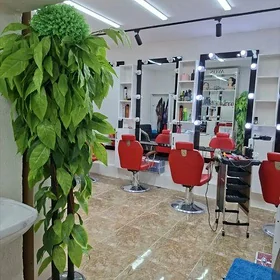 Satlyk padwal Mir 2 salon