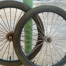 ayak diska