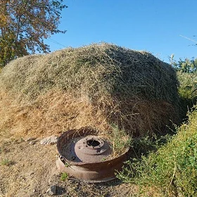 ýorunjo