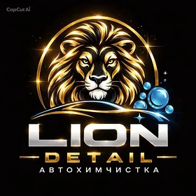 lion detail awtohimçitka